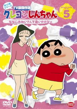 クレヨンしんちゃん TV版傑作選 第10期シリーズ 5 ななこおねいさんを追いかけるゾ レンタル落ち  DVD