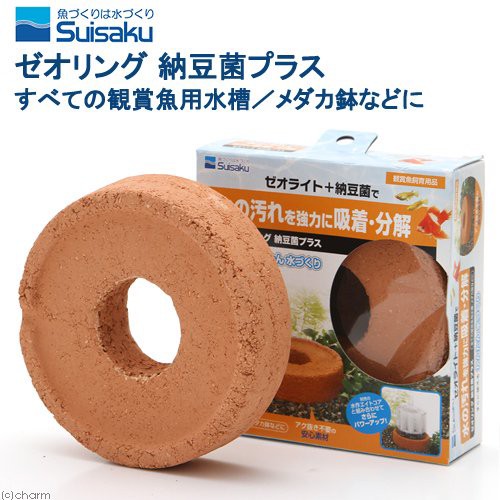 チャーム