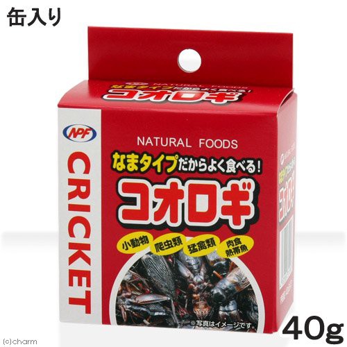 他サイト： コオロギ NPF コオロギ(缶入り) 40g 両生類・爬虫類 ハリネズミ フード 餌 エサ 缶詰の商品画像