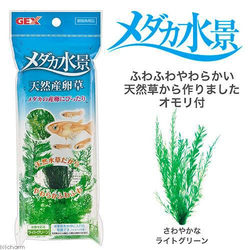他サイト： GEX メダカ水景 天然産卵草の商品画像
