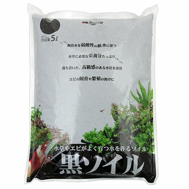 チャーム
