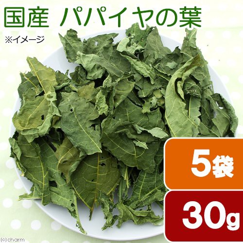 他サイト： 5袋セット 国産 パパイヤの葉 30g×5袋 お徳用パック 小動物用のおやつ 無添加 無着色 うさぎ モルモット 毛球ケア お一の商品画像