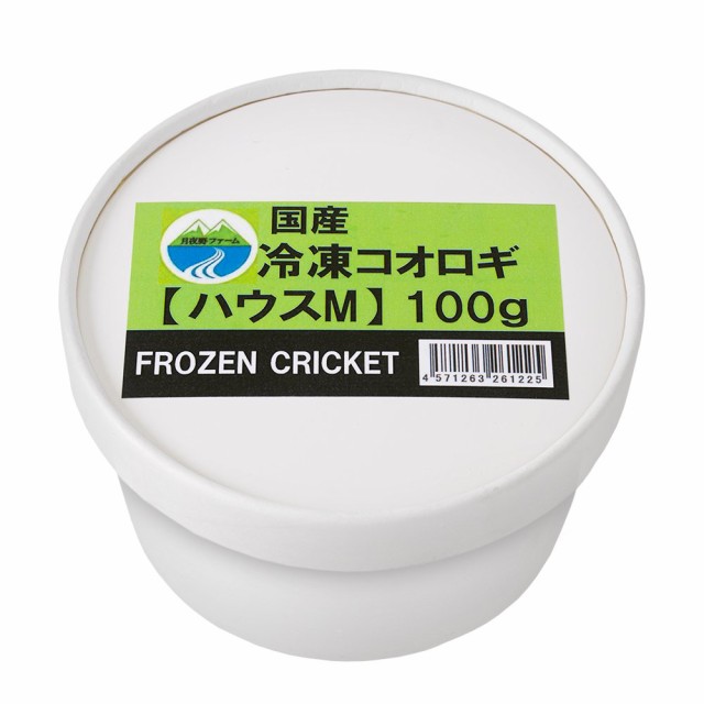 冷凍 冷凍ヨーロッパイエコオロギ 足つき Mサイズ 100g 爬虫類エサ 無添加 無着色 ： Amazon・楽天・ヤフー等の通販価格比較  [最安値.com]