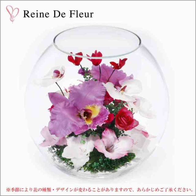 期間限定 半額以下 Reine De Fleur レンデフロール カトレア 胡蝶蘭 バラ グラジオラス C V 期間限定 30 Off Kasam Org