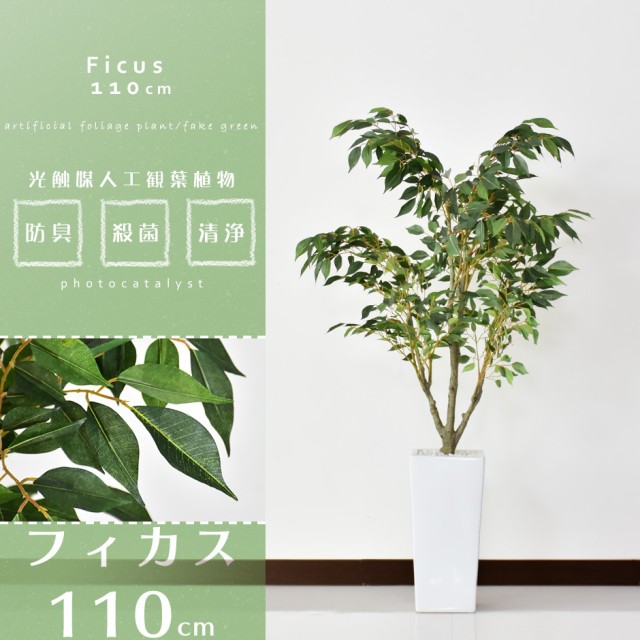 アウトレット送料無料 Offクーポン配布中 観葉植物 光触媒 フェイクグリーン 造花 110cm 人工観葉植物 陶器鉢 インテリア お祝い ギフト フィカス インテ 海外最新 Mawaredenergy Com アウトレット送料無料 Offクーポン配布中 観葉植物 光触媒 フェイクグリーン 造花 110cm 人工観葉植物 陶器鉢 インテリア お祝い ギフト フィカス インテ 海外最新 Mawaredenergy Com