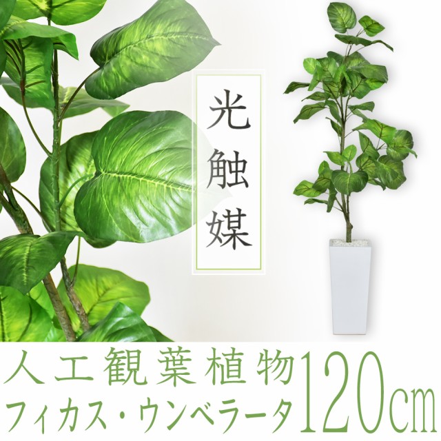 全国組立設置無料 観葉植物 光触媒 フェイクグリーン 造花 1cm 人工観葉植物 陶器鉢