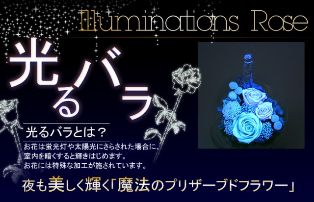 夜も美しく輝く 魔法のバラ