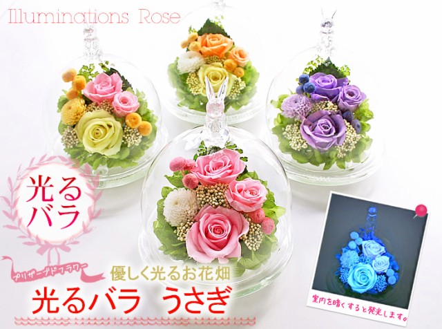 お花畑にうさぎがぴょこん