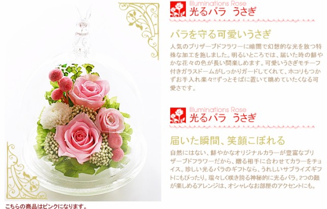 光るバラ 笑顔がこぼれる
