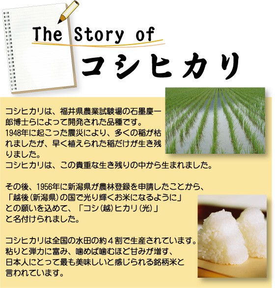 s☆様専用 新米 無農薬コシヒカリ玄米20kg(5kg×4)令和4年 徳島県産の+