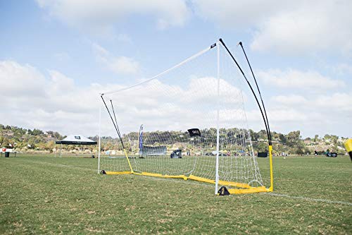 通販限定 Sklz スキルズ サッカー練習用 固定用ウエイト プロトレーニングユーティリティーウエイト 日本正規品 メール便全国送料無料 Www Iacymperu Org