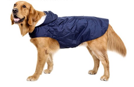 送料無料 Tg Cl0579 ペットの服大きい犬は反光レインコート Ldja230 ペット用品 犬猫用品 大特価 Www Iacymperu Org