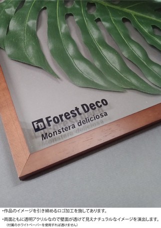 値引きする インテリアグリーンアート Forestdecol Monstera Deliciosa1 インテリアアート アートフレーム プレミア商品 Carlavista Com