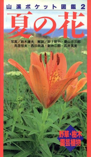 中古 夏の花 野草 樹木 園芸植物 山渓ポケット図鑑２ 鈴木庸夫 その他 畔上能力 その他 の通販はau Pay マーケット ブックオフオンライン Au Payマーケット店 商品ロットナンバー