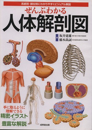 中古 ぜんぶわかる人体解剖図 系統別 部位別にわかりやすくビジュアル解説 坂井建雄 著者 の通販はau Pay マーケット ブックオフオンライン Au Payマーケット店 商品ロットナンバー