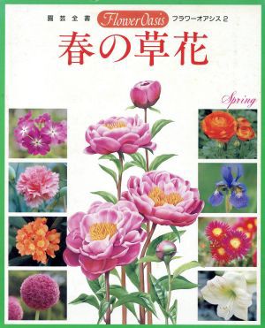 中古 春の草花 園芸全書 フラワーオアシス２ 小学館の通販はau Pay マーケット ブックオフオンライン Au Payマーケット店 商品ロットナンバー