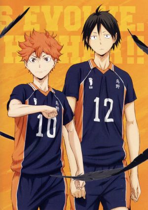 ハイキュー セカンドシーズン Vol 3 通販 Au Wowma ワウマ