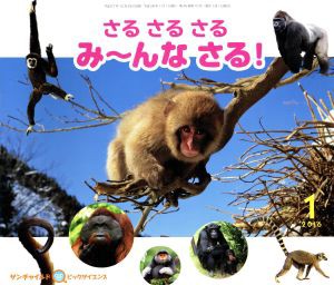 中古 さるさるさる み んなさる サンチャイルド ビッグサイエンス２０１６ １ チャイルド本社の通販はau Pay マーケット ブックオフオンライン Au Payマーケット店 商品ロットナンバー