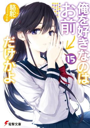 クライマックスセール 俺を好きなのはお前だけかよ １５ 電撃文庫 駱駝 著者 ブリキ イラスト 新色登場 Www Theitgroup It