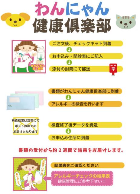 チェック表