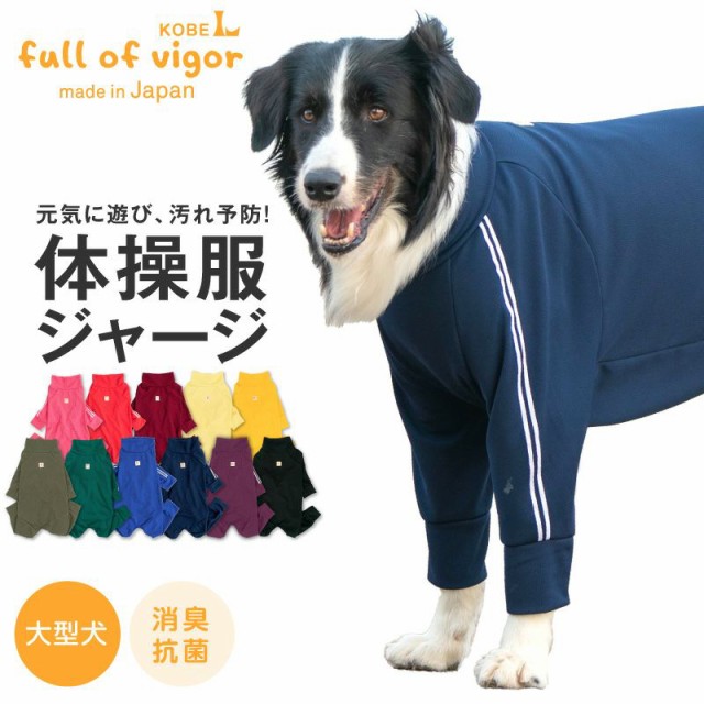 新色登場 ドッグプレイ R 体操服ジャージつなぎ 大型犬用 ネコポス値6 わけあり並の激安価格 Centrodeladultomayor Com Uy