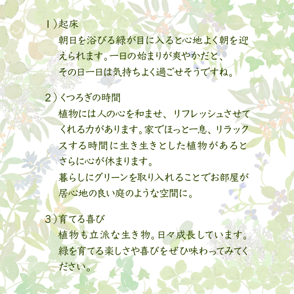 シニアファッション Jkプラン 送料無料 Faw 0003 Na 味わいのある古木風シートとガラスを組み合わせたデザインが お部屋全体にすっきりとした印象を与え スプリングフェア Carlavista Com