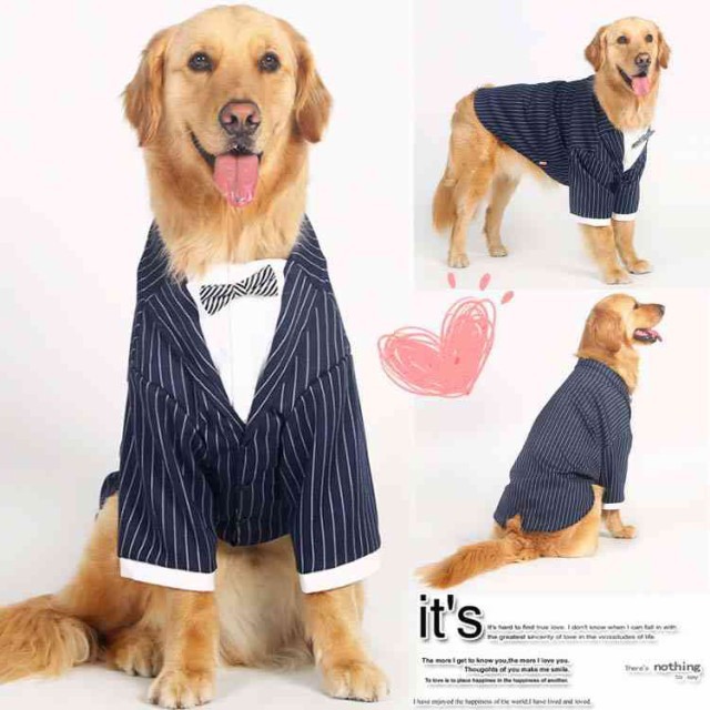 結婚式 ドッグウエア フォーマル 誕生日 紺スーツ タキシード ネイビー 服 犬服 犬 男の子 イベント 大型犬の通販はau Wowma ワウマ 東京 Com 商品ロットナンバー 結婚式 ドッグウエア フォーマル 誕生日 紺スーツ タキシード ネイビー 服 犬服 犬 男の子 イベント 大型犬の通販はau Wowma ワウマ 東京 Com 商品ロットナンバー