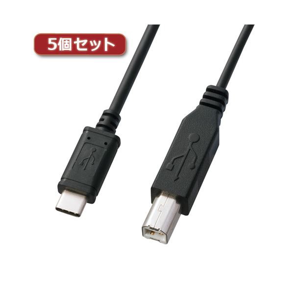 特売激安 送料無料 5個セット サンワサプライ USB2.0TypeC-Bケーブル KU-CB20X5 AV・デジモノ:パソコン・周辺機器:ケーブル・ ケーブルカバー:その オンライン専門店 -rezume.am