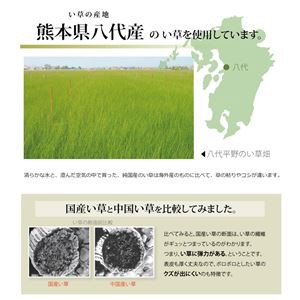 NEW安い 送料無料 熊本県八代産イ草使用 生活用品・インテリア・雑貨:インテリの通販はau PAY マーケット - イーグルアイau Wowma!店|商 純国産 い草 上敷き カーペット 糸引織 三六間3畳(約182×273cm) 高評価人気