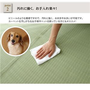 再入荷お得 送料無料 アウトドア対応 生活用品・インテリア・の通販はau PAY マーケット - イーグルアイau Wowma!店|商品ロットナンバー:333379474 洗える PPカーペット/ラグマット 日本製 防カビ 防ダニ 定番HOT
