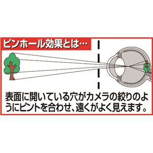 送料無料 遠近兼用ピンホールメガネ 2個セット 生活用品 インテリア 雑貨 その他の生活雑貨の通販はau Wowma ワウマ イーグルアイ 商品ロットナンバー