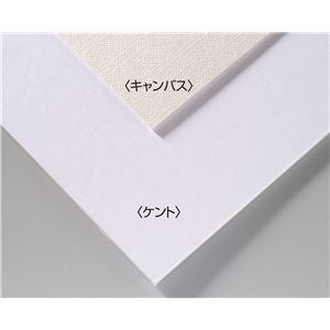 最安値 送料無料 まとめ アーテック A B オリジナル 両面アートボード イラストボード B4 Eco素材 キャンバス 30セット ホビー エ 大流行中 Sinviolencia Lgbt
