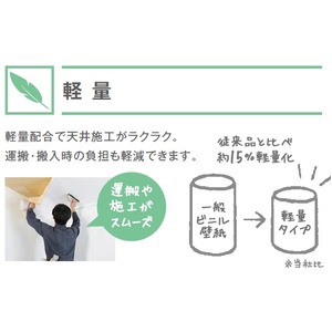 国際ブランド 送料無料 壁紙 のり無しタイプ サンゲツ Sp 9505 無地貼可 92cm巾 30m巻 生活用品 インテリア 雑貨 インテリア 家具 壁紙 柔らかい Olsonesq Com