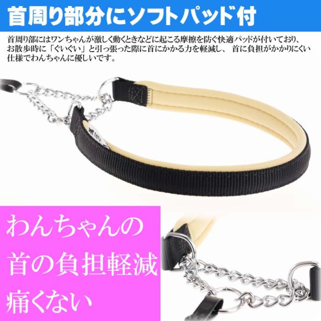 首輪 犬用 ファープラスト デイトナCSS