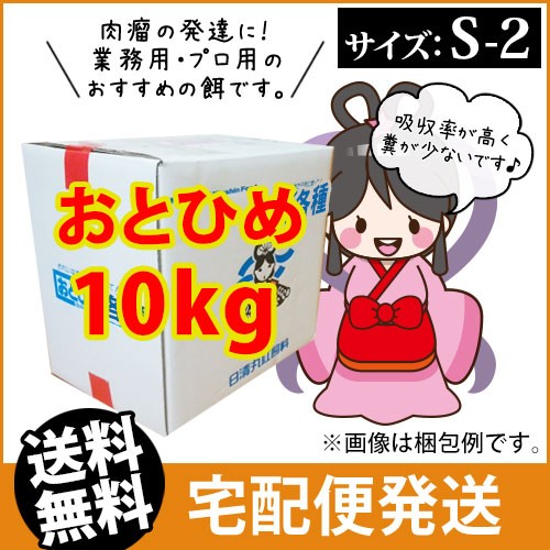 メーカー直送 日清丸紅飼料おとひめs2 沈降性 10kg コイのごはん 熱帯魚の餌 アロワナのエサ 金魚小屋 希 福岡の通販はau Pay マーケット ふれん豆 商品ロットナンバー