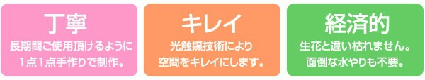 手作り 光触媒 経済的