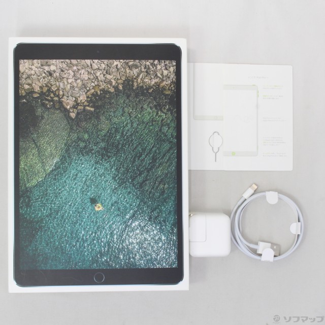 正規店低価 (中古)Apple MPHG2J/A SoftBankロック解除SIMフリー(269-ud)の通販はau PAY マーケット - ソフマップ|商品ロットナンバー:510350848 iPad Pro 10.5インチ 256GB スペースグレイ 特価人気