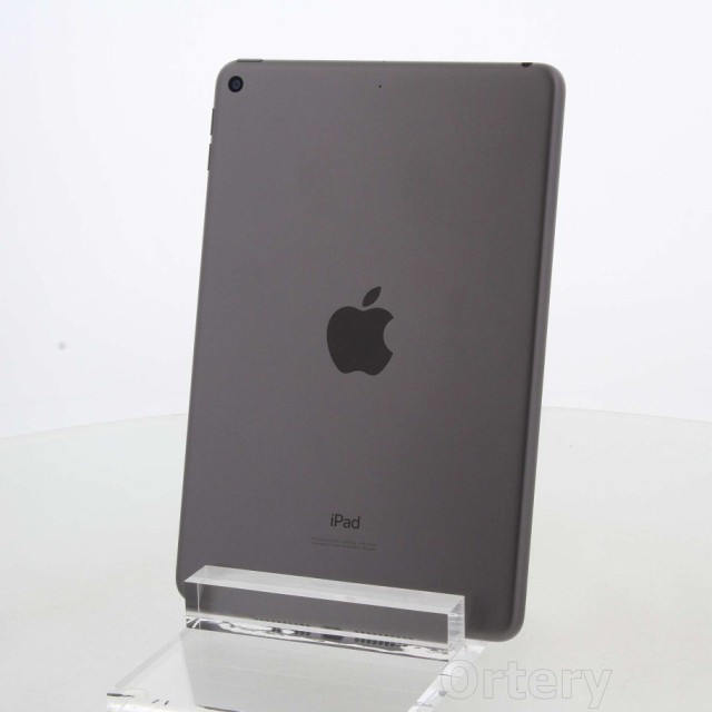 (中古)Apple iPad mini 第5世代 256GB スペースグレイ MUU32J/A Wi-Fi(198-ud)