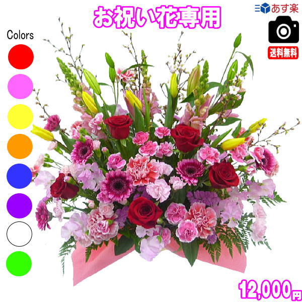 手数料安い 土日祝も営業 選べる お祝い専用フラワー12 000円 送料無料 画像閲覧ok 15時までの注文で即日配送 特売 Deya Do