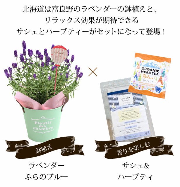 母の日 ギフト 花 プレゼント ラベンダー 癒し セット 富良野ラベンダー鉢植え と ラベンダーサシェ オーガニック ハーブティー セット の通販はau Wowma ワウマ フラワーマーケット花由 商品ロットナンバー