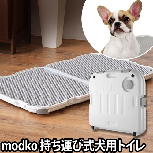 すべてのカタログ ぜいたく 犬 トイレトレー 寝る