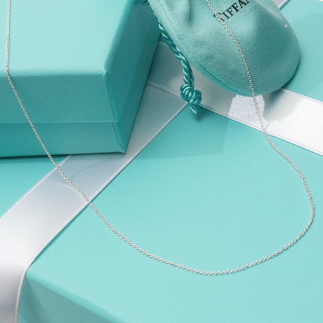 新品 ティファニー TIFFANY&CO. Sterling Silver Chain スターリングシルバー アズキ チェーン リンクサイズS