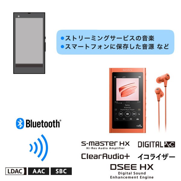 ソニー ムーンリットブルー NW-A55HN-Lの通販はau PAY マーケット - ぎおん｜商品ロットナンバー：506675954 SONY  ウォークマン Aシリーズ 16GB イヤホン付属 総合1位 - cta.org.mz