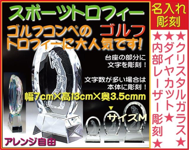期間限定特価 トロフィー ゴルフ 名入れ 彫刻料込み ホールインワン記念 ゴルフ大会 記念品 表彰 誕生日プレゼント 完全オリジナルデザイン 最新情報 Olsonesq Com