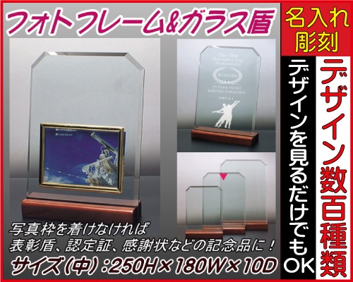 表彰状 表彰盾 感謝状 名入れフォトフレーム 250 角カット縦