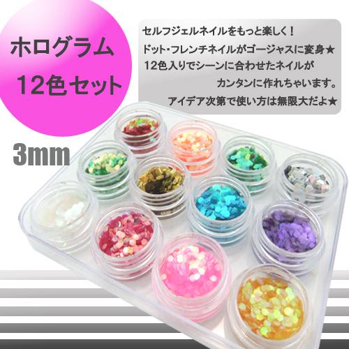 メール便 ホログラム オーロラ 大 12色セット 01 ジェルネイル
