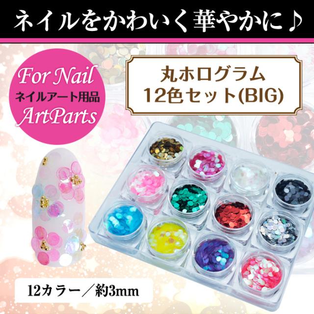 メール便 丸ホログラム Big 12色セット ジェルネイル ネイル