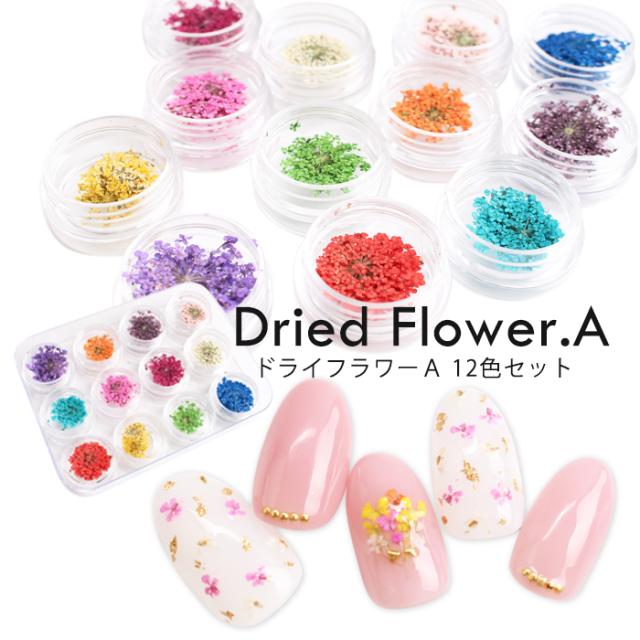メール便 ドライフラワー A 12色セット ドライフラワー 押し花