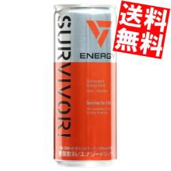 送料無料 富永貿易 サバイバーエナジードリンク 250ml缶 30本入 炭酸飲料 のしok Big Drの通販はau Wowma ワウマ 全品送料無料 アットコンビニ 商品ロットナンバー