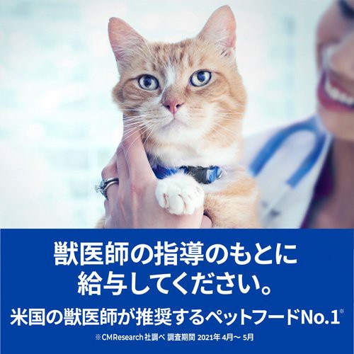 アウトレット送料無料 ヒルズ プリスクリプション ダイエット 猫用 C D マルチケア 尿ケア フィッシュ入り 4kg 猫用特別療法食 驚きの値段 Olsonesq Com